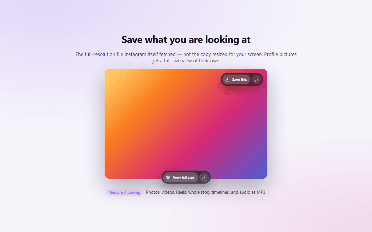 The IGFocus save bar and full-size view controls over a photo